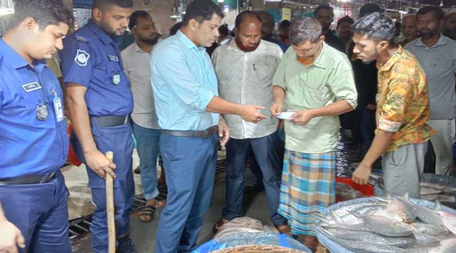 অভিযানের খবরে চাঁদপুর মাছঘাটে কেজিতে ১৫০-২০০ টাকা দাম কমে ইলিশের