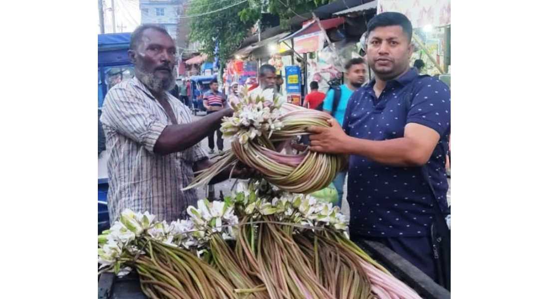 শাপলা বিক্রি করে সংসার চালাচ্ছেন মতলবের ছিদ্দিকুর রহমান