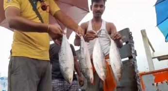 অবশেষে ভারতে পৌঁছালো বহুল প্রতীক্ষিত পদ্মার ইলিশ