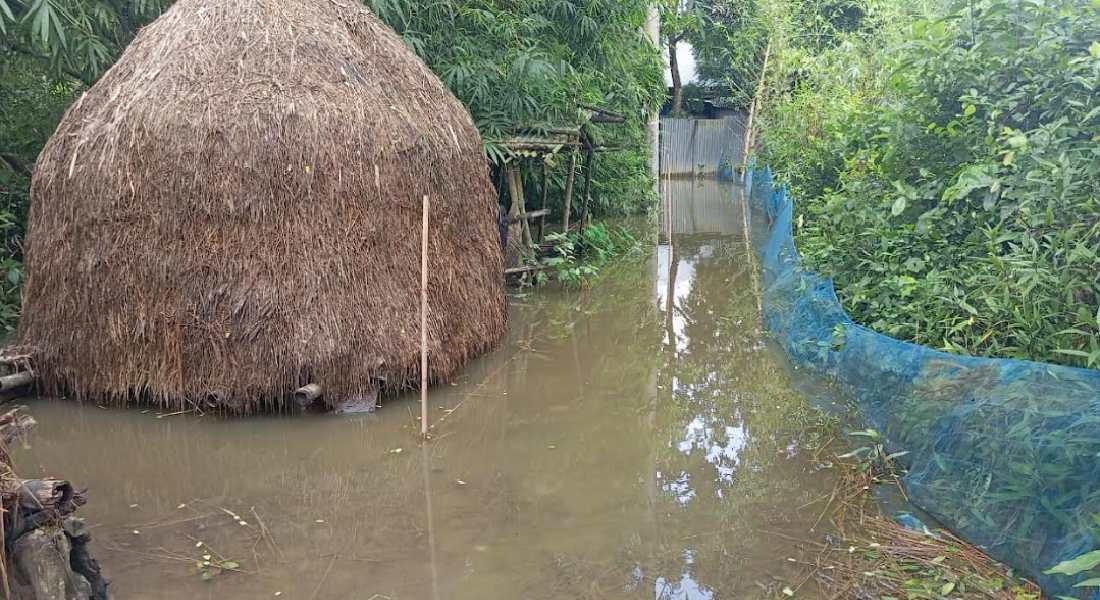 কচুয়ায় সরকারি হালট দখল করে বাড়িঘর নির্মাণ করায় ভোগান্তিতে গ্রামবাসী