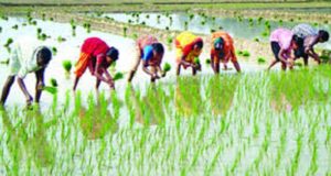 শিশু পরিবার-মূক বধিরদের সাথে চাঁদপুর জেলা পরিষদের ইফতার