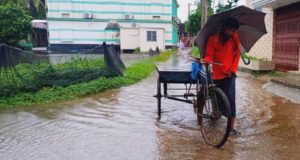 সার্ভেয়ারদের