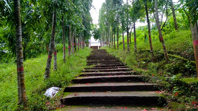 বান্দরবানের মিরিঞ্জা ভ্যালি ভ্রমণ