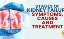 kidney