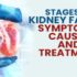 kidney