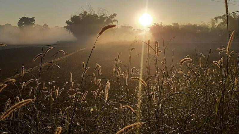 তাপমাত্রা নামল ১০ ডিগ্রিতে