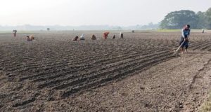 ছেংগারচরে তিন কাউন্সিলর প্রার্থীকে জরিমানা