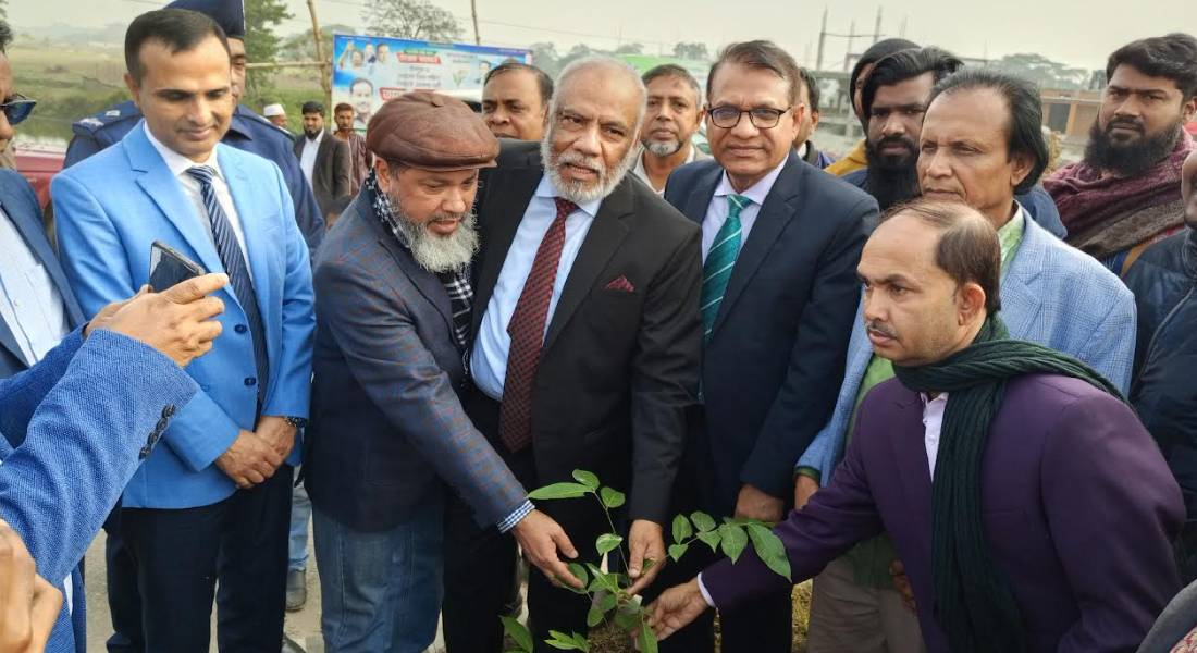 মতলবে  যুব ও ক্রীড়া মন্ত্রণালয় সচিবের  বৃক্ষরোপন