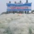 খালেদার পক্ষে আদালতে আজ আপিল হচ্ছে না