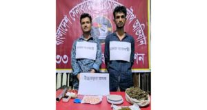 চিকিৎসা