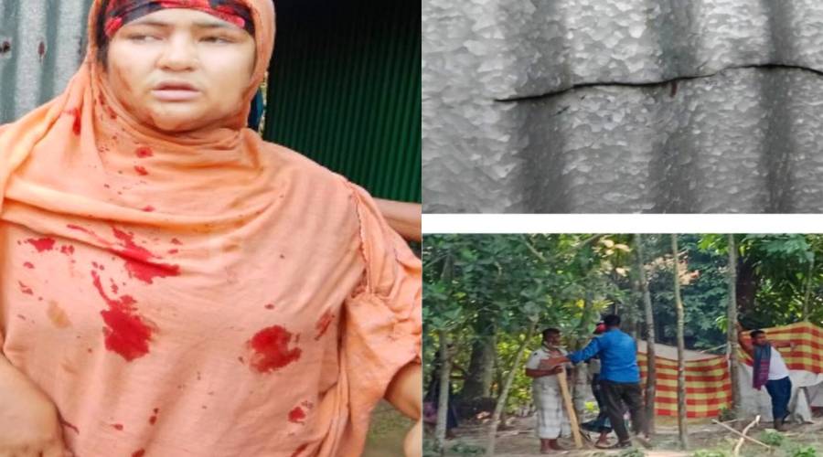 চাঁদপুর সদর হানারচরে বিরোধের জেরে নারীসহ তিনজনকে কু*পি*য়ে জখম