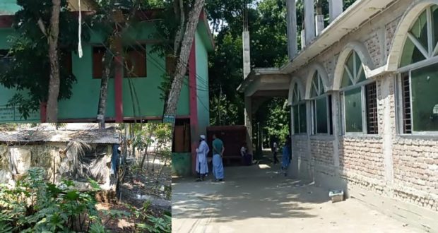 মাদ্রাসা