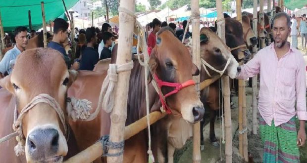 কোরবানির