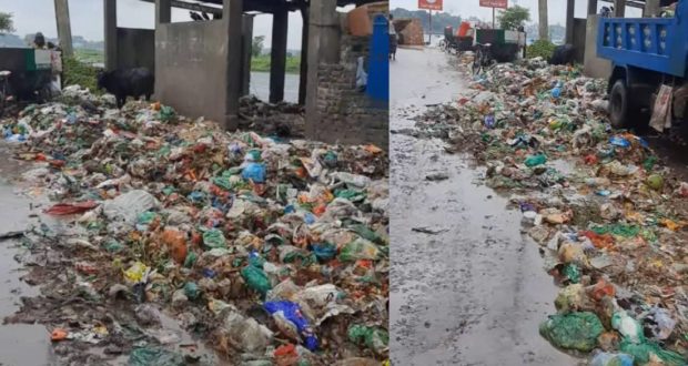 সৌন্দর্য