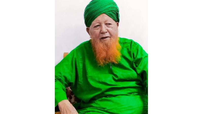 সিনিয়র সিটিজেন ওয়েলফেয়ার সোসাইটির ভাইস চেয়ারম্যান মারা গেছেন