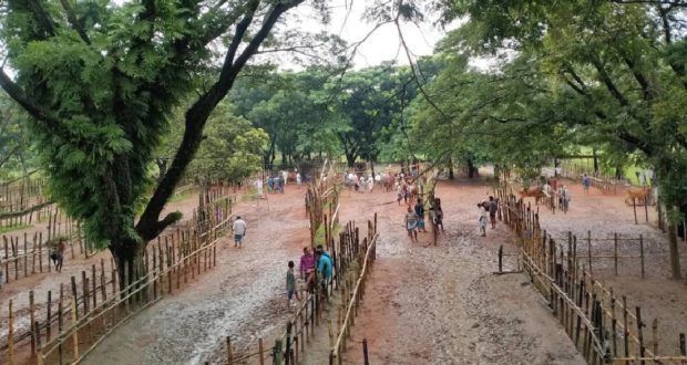 সফরমালীর