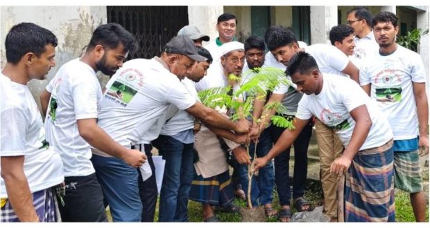 বৃক্ষরোপণ