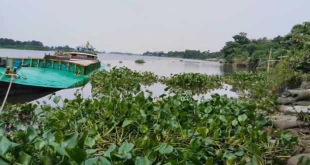 ধনাগোদা