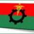 bnp