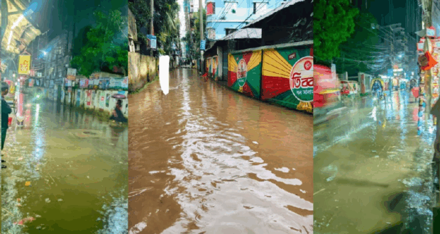 পৌরসভার