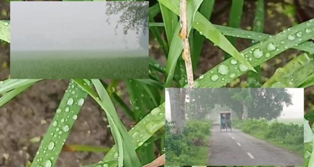 ভ্যাপসা