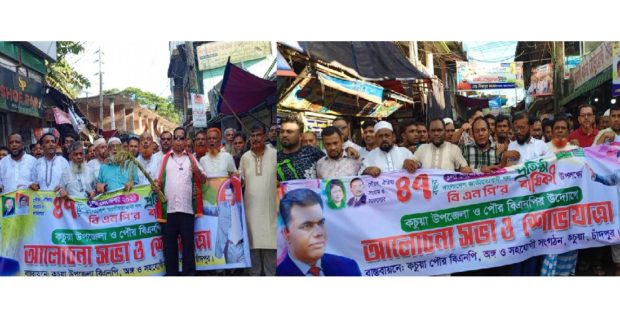 বিএনপির