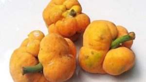 দেশি ফল ডেউয়ার গুণাগুণ