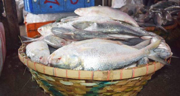 সম্প্রীতি