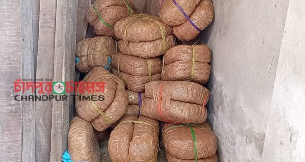 ফরিদগঞ্জে