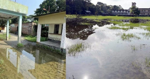 বিদ্যালয়ের