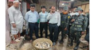 চাঁদপুরে পচা ইলিশ বিক্রির দায়ে ব্যবসায়ীকে জরিমানা আওয়ামী লীগের