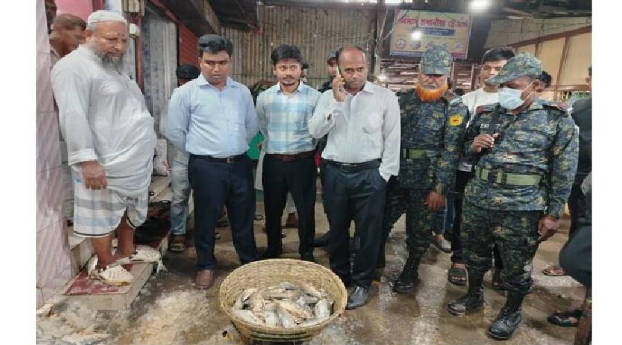 চাঁদপুরে পচা ইলিশ বিক্রির দায়ে ব্যবসায়ীকে জরিমানা চাঁদপুরে পচা ইলিশ বিক্রির দায়ে ব্যবসায়ীকে জরিমানা