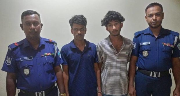 বৈদ্যুতিক