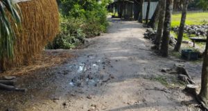 হাজীগঞ্জের কাঁচা রাস্তার বেহাল দশা হাজীগঞ্জ ও কচুয়ায় আনসারদের থেকে উৎকোচ নেয়ার অভিযোগ