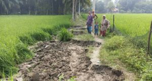 চাঁদপুর সদর