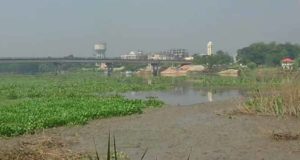 চাঁদপুর