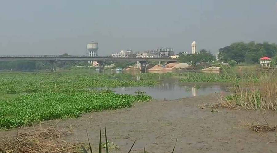 ডাকাতিয়া পাড়ে হচ্ছে চাঁদপুর মেডিকেল কলেজ ডাকাতিয়া পাড়ে হচ্ছে চাঁদপুর মেডিকেল কলেজ