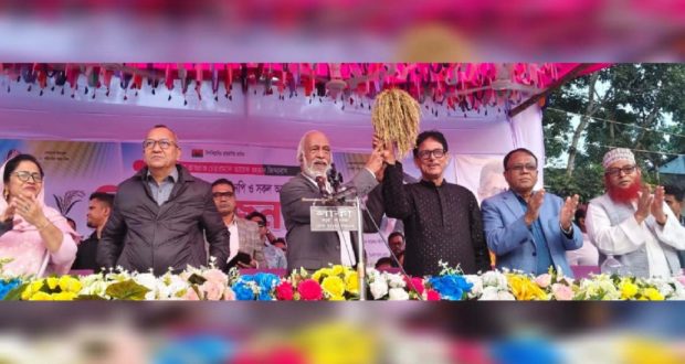 নির্বাচন