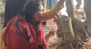 চাঁদপুর