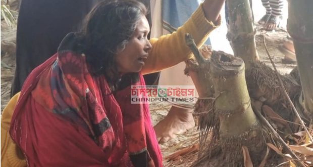 ডাকাতিয়া