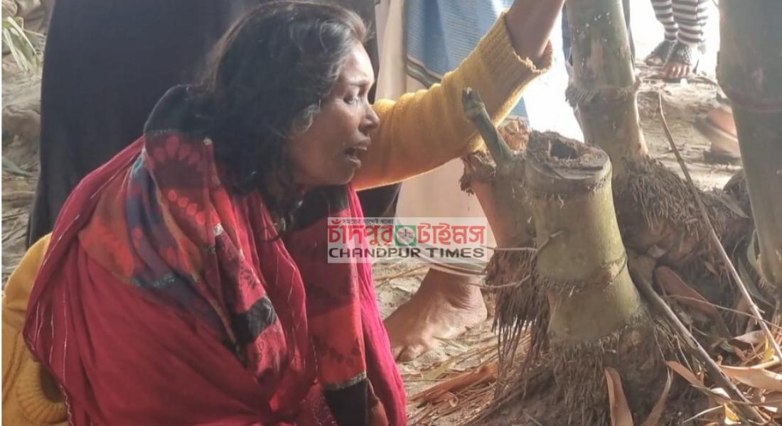 ডাকাতিয়া নদীতে কিশোরীর অর্ধ গলিত লা শ উদ্ধার, ট্রলার চালক গ্রেপ্তার