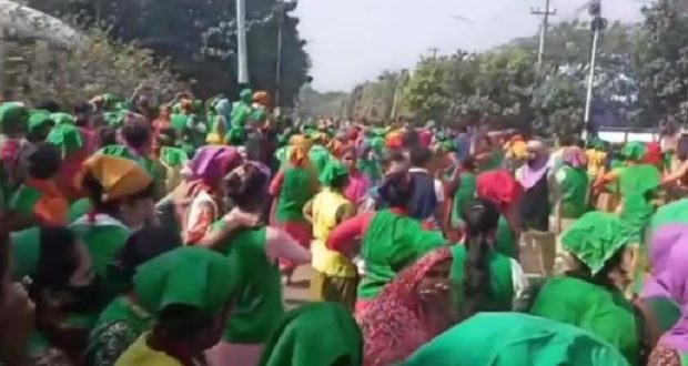 ভূমিকম্পে