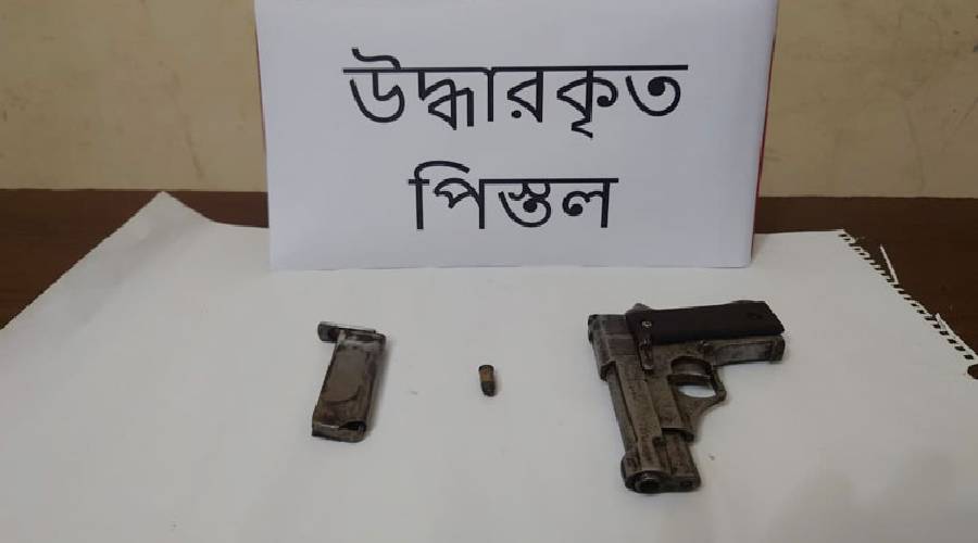 চাঁদপুরে বিদেশি পিস্তল-গুলি উদ্ধার