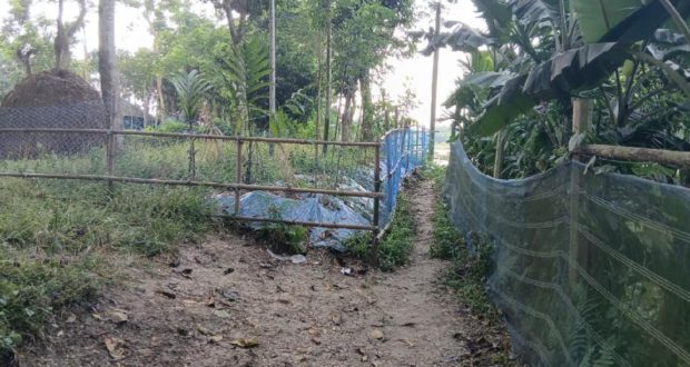 দুপক্ষের