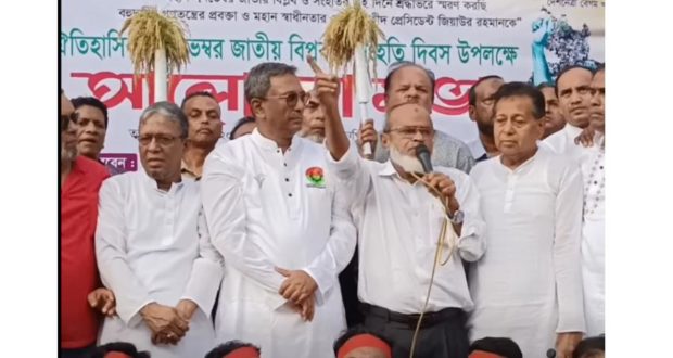 ধানের শীষে