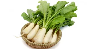 মুলা খেলে যেসব উপকার পাবেন