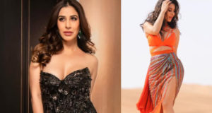 টিকে থাকার প্রশ্নে কটাক্ষ, কড়া জবাব দিলেন সোফি