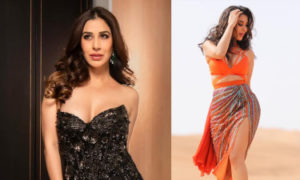 টিকে থাকার প্রশ্নে কটাক্ষ, কড়া জবাব দিলেন সোফি