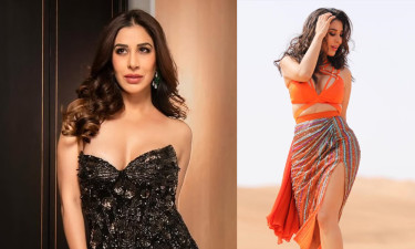 টিকে থাকার প্রশ্নে কটাক্ষ, কড়া জবাব দিলেন সোফি