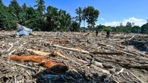 ইন্দোনেশিয়ায় ভয়াবহ বন্যা ও ভূমিধসে প্রাণহানি বেড়ে ৪৪২